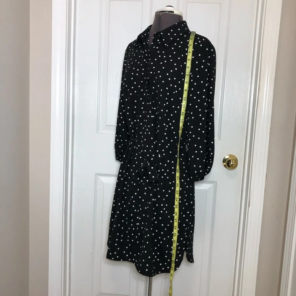 The Limited Black Ivory Polka Dot  Belted Collar Shirtdress ‎ MP